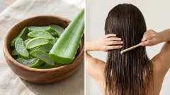Aloe vera para o cabelo: quais são os seus benefícios reais e como fazer uma máscara em casa