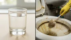 Nada limpava tão bem como isto: a sanita amarelada ficou branca como a neve