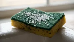 Sal espalhado sobre uma esponja — e adorei o resultado: uma dica doméstica indispensável